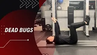 Dead Bugs