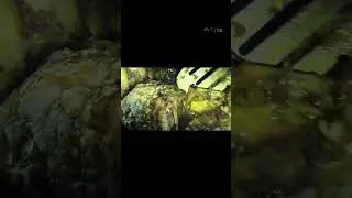 রোহু মাছের তেল ঝাল