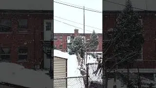 Snowfall Bliss in 25 Seconds!