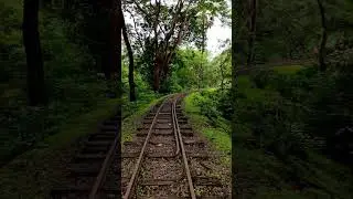 sanjay gandhi national park borivali mumbai #heaven #mountains #nature #nomad #travel #youtube