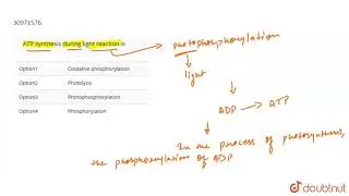 ATP synthesis during light reaction is