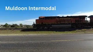 BSNF Intermodal at Muldoon