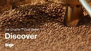 the Oracle&trade; Dual Boiler | Beans 101: Understand coffee bean flavour profiles | Sage Appliances ME
