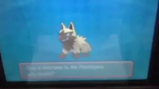 Shiny Poochyena while dexnaving Zorua, 3 Dexnav encounters! (Omega Ruby)