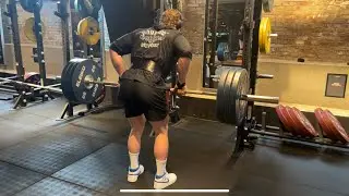 Back / Bicep workout #2 - June 2025