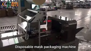 Automatic Mask Packing Machine (2020)