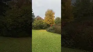 Autumn Magic in Switzerland 🍂 #shortsviral @LineyLakhiFamilyvlogs