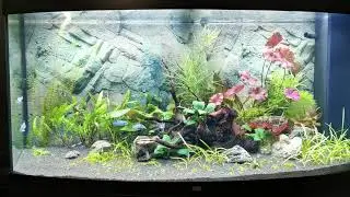 Juwel Vision 260 led