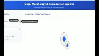 Learn Fungal Morphology & Reproduction Explorer | Pharmacy Tutorial | Medical Education