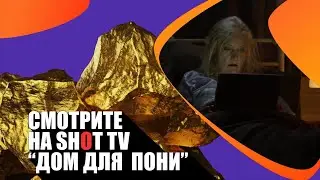 &laquo;Дом для пони&raquo; (Pony Place/ Нидерланды/ комедия/ 2013/ 10 мин./ Joost Reijmers)