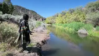 Nevada Small creek fishing on a windy day