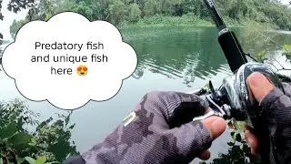 Freshwater fishing in the wild | Beautiful and unique fish☺️