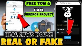 Real Cow House REAL or FAKE | Real Cow House Airdrop | Real Cow House Withdraw | Free Ton Withdrawal