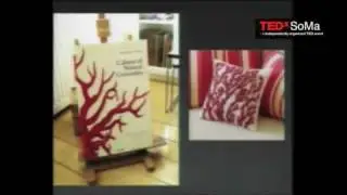 TEDxSoMa - David Pescovitz - The World as a Wunderkammer