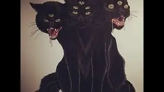 4 TRUE SCARY Black Cat Encounter Horror Stories