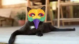 What If Cats Wore Masks? #2: Freaky Fun Feline Fun