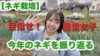 【ネギ栽培】家庭菜園女子が独学でネギに挑戦！？来年に向けて振り返り