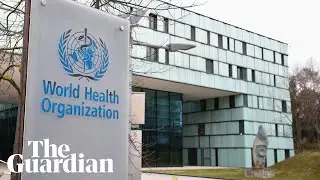 Coronavirus: WHO holds news briefing on outbreak - watch live