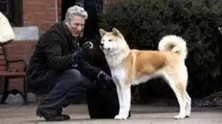 Hachiko A Dog's Story Review| Best Hollywood Movie About Faithful Dog | Plot Explained