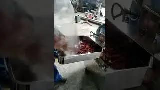 chili powder grinding | chilli grinder | hot pepper milling machine | chilly pulveriser equipment |