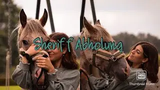 Ehemaliges Junkernbeelpony Abholung // Sheriff