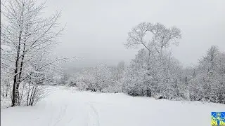 Зима 2026 🌬️🥶🌨️