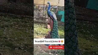Beautifull Peacock Statue😍😍😍 #cute #birds #peacock
