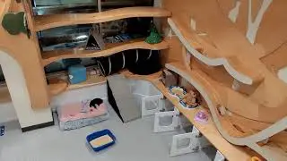 12/29 Free Roaming Cats LIVE from North Shore Animal League America