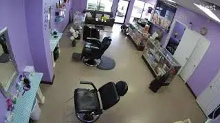 Deer Crashes into Salon Full Video