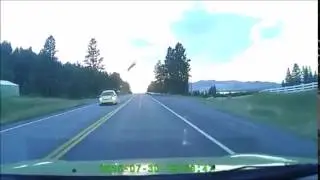Flying Deer