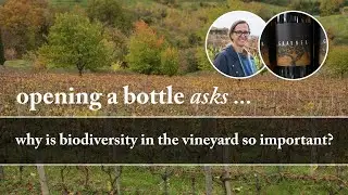 Why is Biodiversity in the Vineyard So Important? ... Opening a Bottle Asks