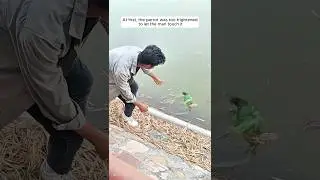 A kind couple rescued a parrot that fell into the water