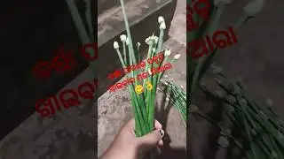 ପିଆଜ ପତ୍ର ପକୁଡ଼ି🤤 । Spring Onion pakoda# pakoda recipe # Tea time snacks🤤# viral shorts