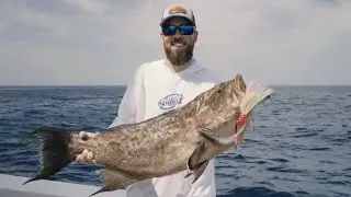 Big Scamp! Snapper Slapper Squid Head & Metal Lures offshore Galveston catch #offshorefishing