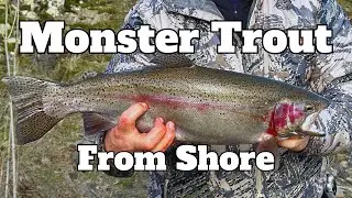 GIANT rainbow trout from the bank! Fourth of July Lake, WA