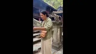 Monkey Snatches Cash From Woman in Seconds! 😂💸 | NYC Street Chaos