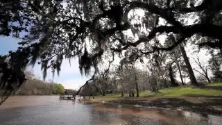 Bayou Teche Experience