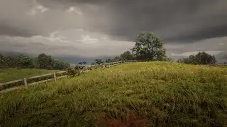 Red Dead 2 Graphics Insanity...