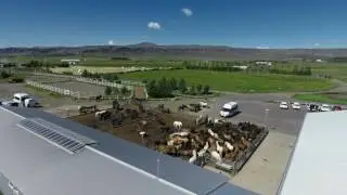 Introduction Hotel Eldhestar Countryside Hotel in Iceland