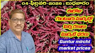 04 FEBRUARY 2026 GUNTUR MARKET MIRCHI RATES|గుంటూరు మిర్చి మార్కెట్ ధరలు|गुंटूर मार्केट मिर्च के रेट