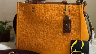 Coach Rogue 25 papaya multi + measurements +modshots