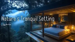 Chill Jazz Music in a Beautiful Tree House Bedroom | Relaxing Forest Retreat