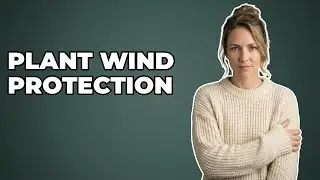 Can Living Windbreaks Prevent Wind Damage To Plants?