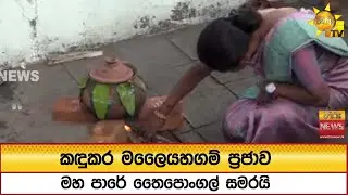 කඳුකර මලෛයහගම් ප්‍රජාව මහ පාරේ තෛපොංගල් සමරයි - Hiru News