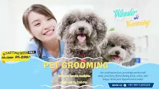 Winter is Comming, Get Set Go For Pet Grooming