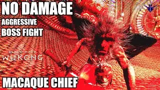 3rd MACAQUE CHIEF NO DAMAGE BOSS FIGHT BLACK MYTH WUKONG CHAPTER 3 BOSS