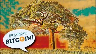 Конфиденциальность и масштабируемость &mdash; все, что вам нужно знать о Taproot Bitcoin (SOB#455)