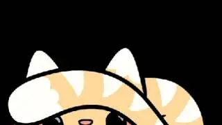 Cute cat gifs