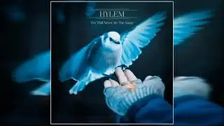 Hylem - Sculpted By Change