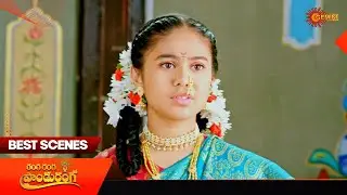 Ranga Ranga Pandu Ranga - Best Scenes | 16 Jan 2026 | Telugu Serial | Gemini TV